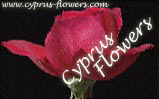The Cyprus Florists Online -- flower abd gift delivery throughout Cyprus